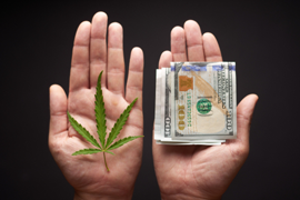 Cannabis for Money