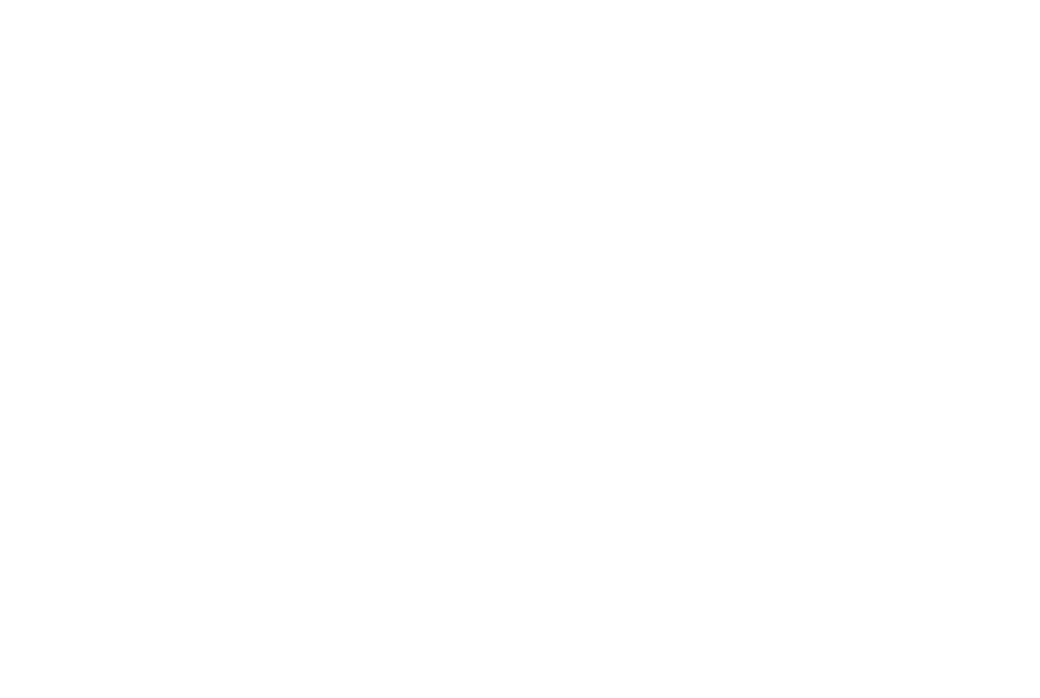 ACH Network Logo (white)
