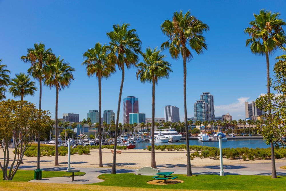 Long Beach Skyline with Palm Trees